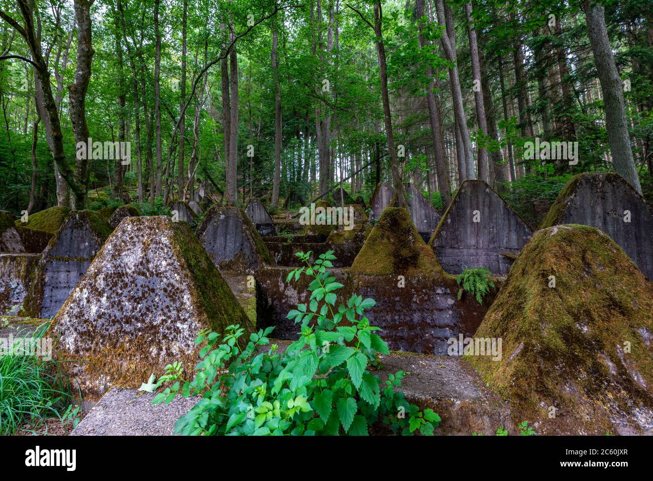 Reste der Westwand über dem Grönisbach, bei Roetgen, 100 Meter lange Panzerabwehr durch ein kleines Tal, erbaut 1939, Eifel, NRW, Deutschland Stockfoto