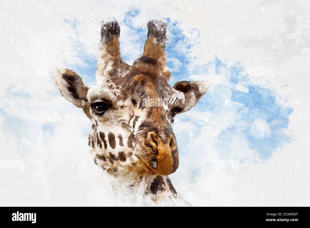 Mischtechnik Nahaufnahme des Kopfes einer Giraffe vor dem Hintergrund des sommerblauen Himmels Stockfoto