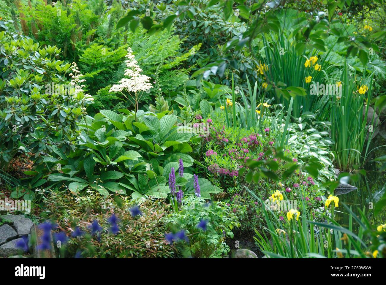 Botanische garten Fotos und Bildmaterial in hoher Auflösung Alamy