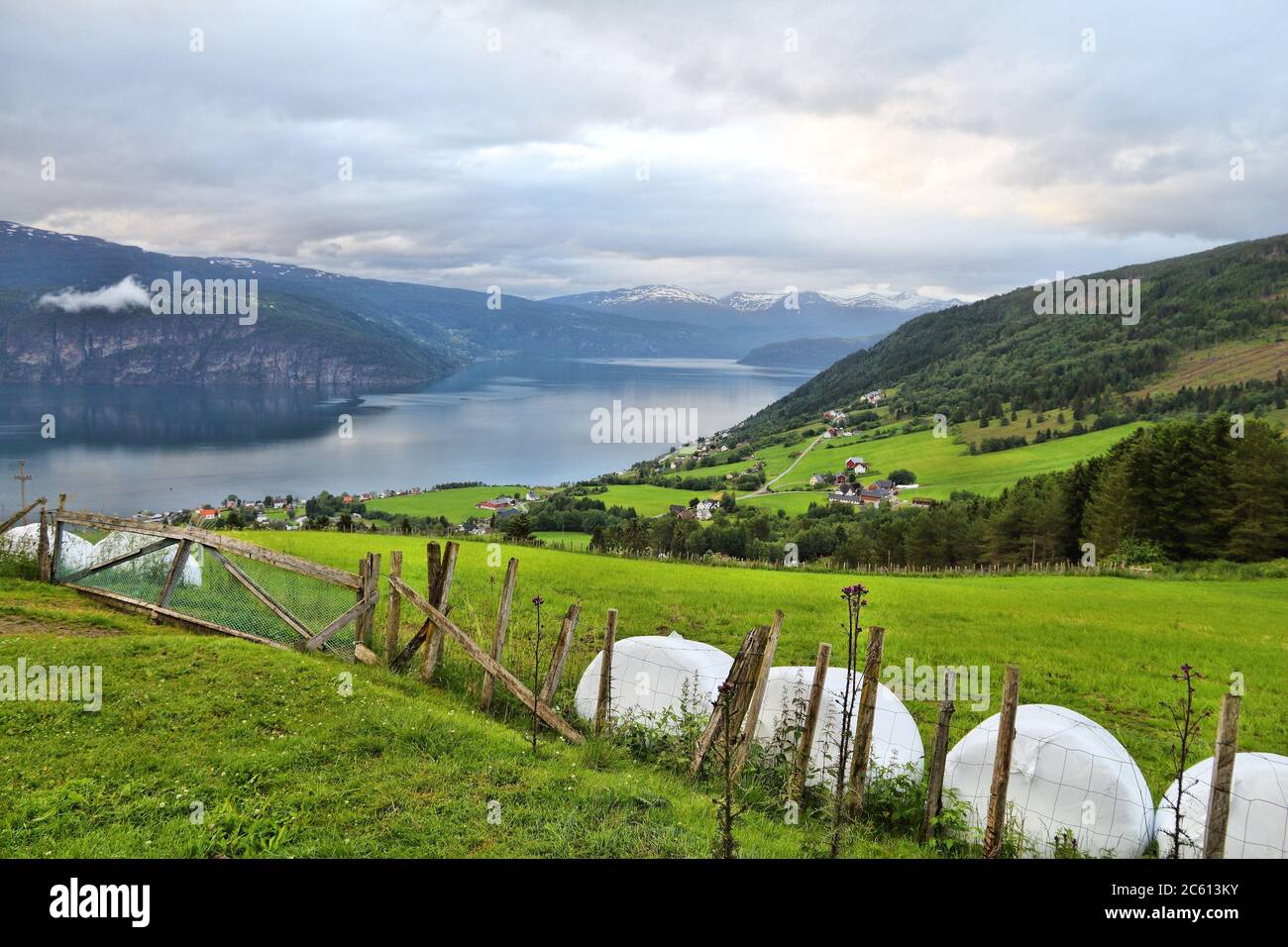 Ländliche Landschaft in Norwegen - Nordfjord Sicht in Utvik. Heuballen in Kunststofffolie verpackt. Stockfoto