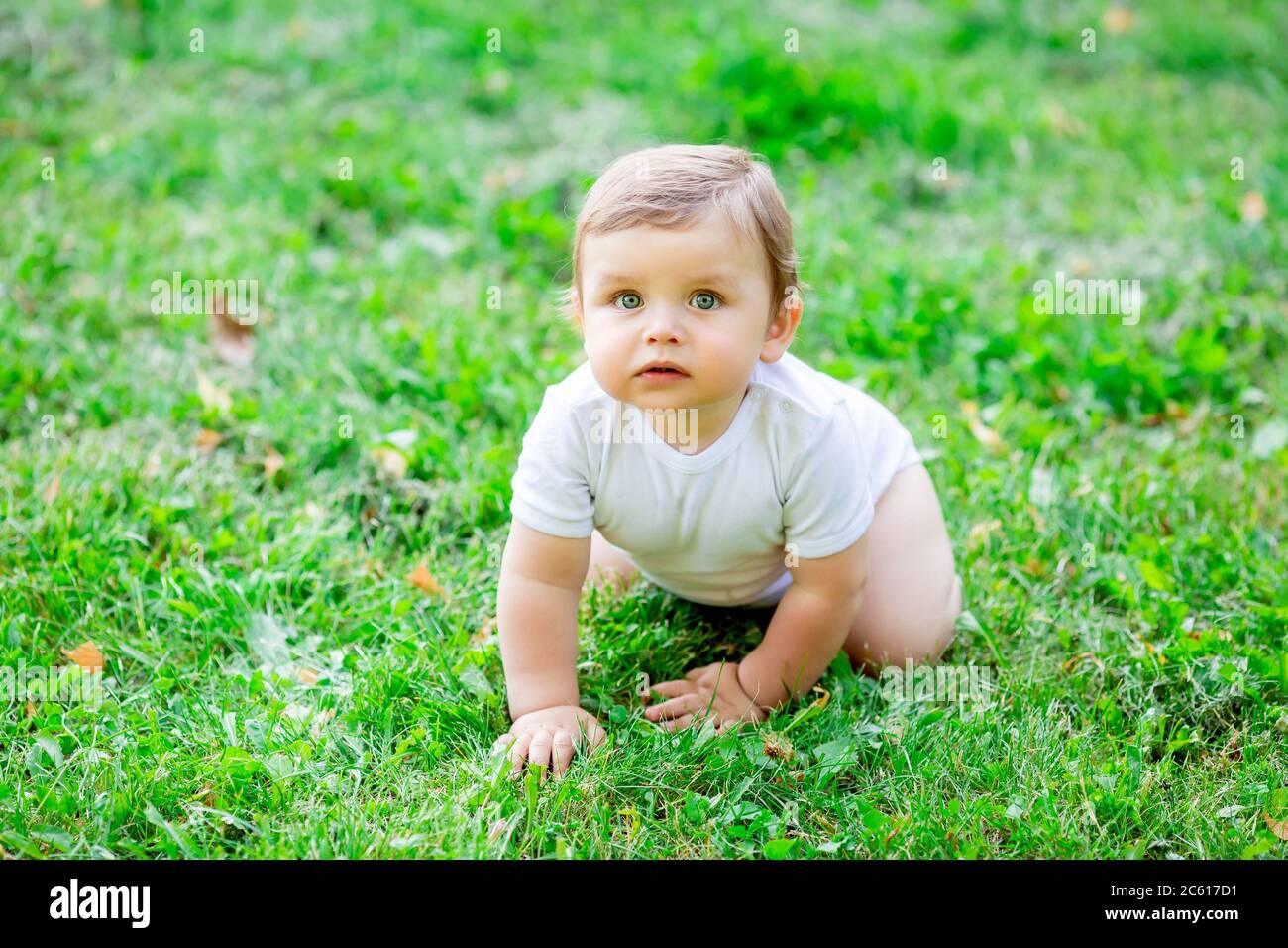 Niedliches Kind in weißem Body lernt zu kriechen. Gesundes Kleinkind kriecht im Sommer auf grünem Gras Stockfoto