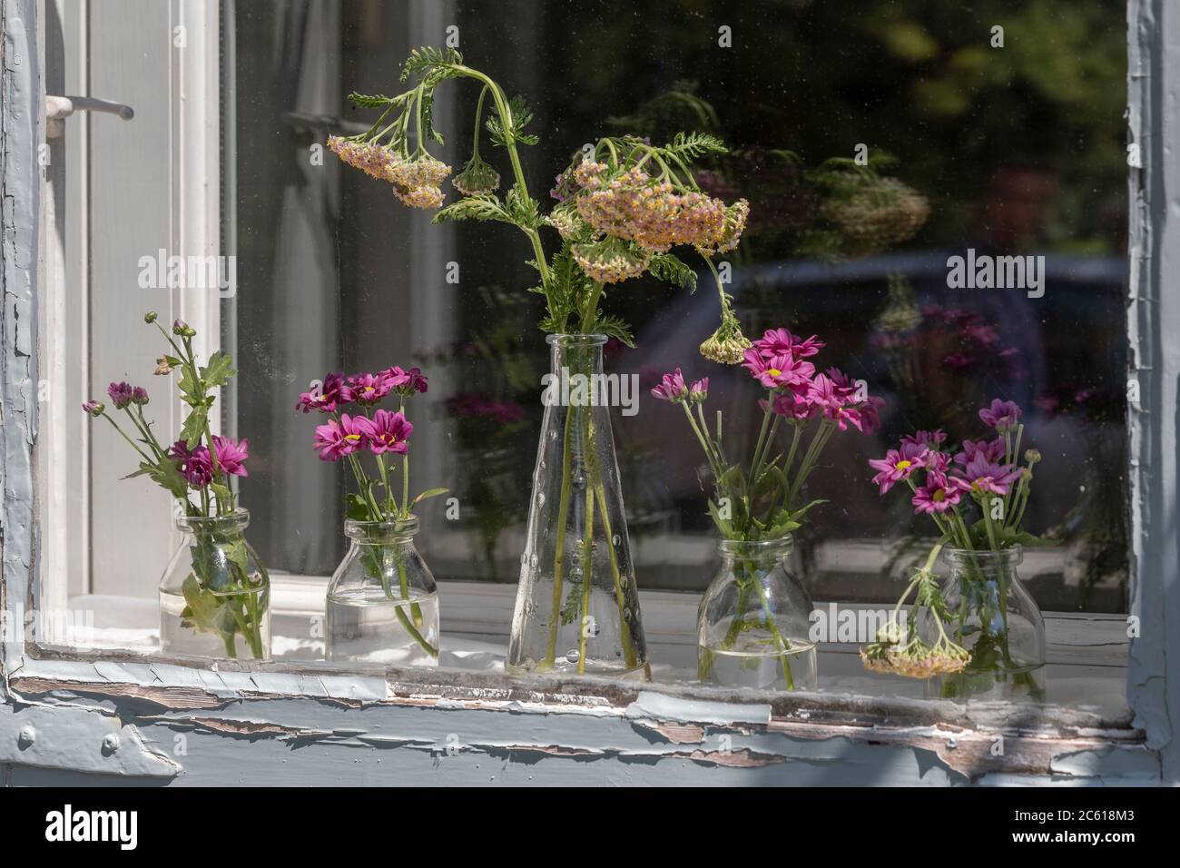 Blumen in kleinen Glasflaschen an einem Fenster Stockfoto