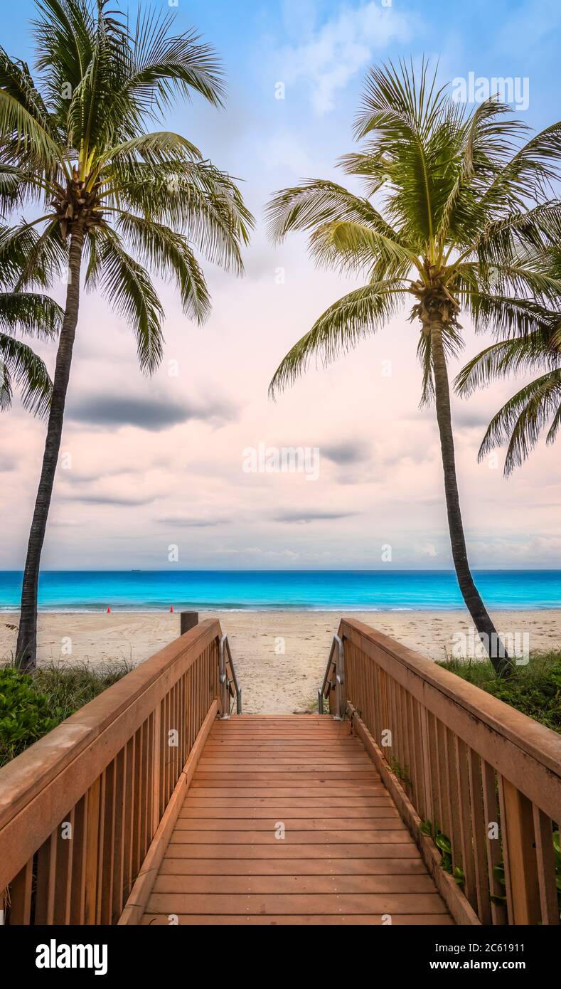 Holzsteg Zugang zum Hollywood Strand mit wehenden Kokospalmen an einem schönen Sommertag in Florida, USA. Stockfoto