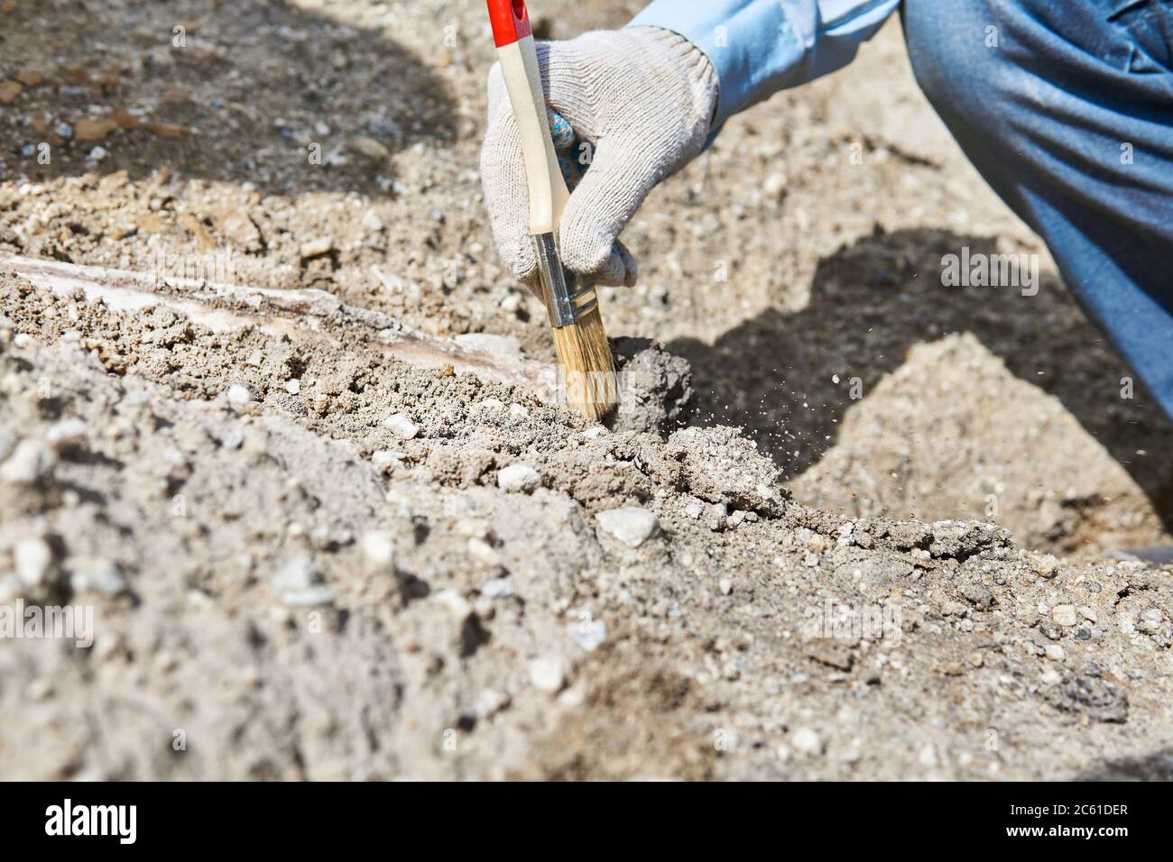 Hand des Paläontologen mit Pinsel, der fossile Knochen von Sand und Stein reinigt Stockfoto
