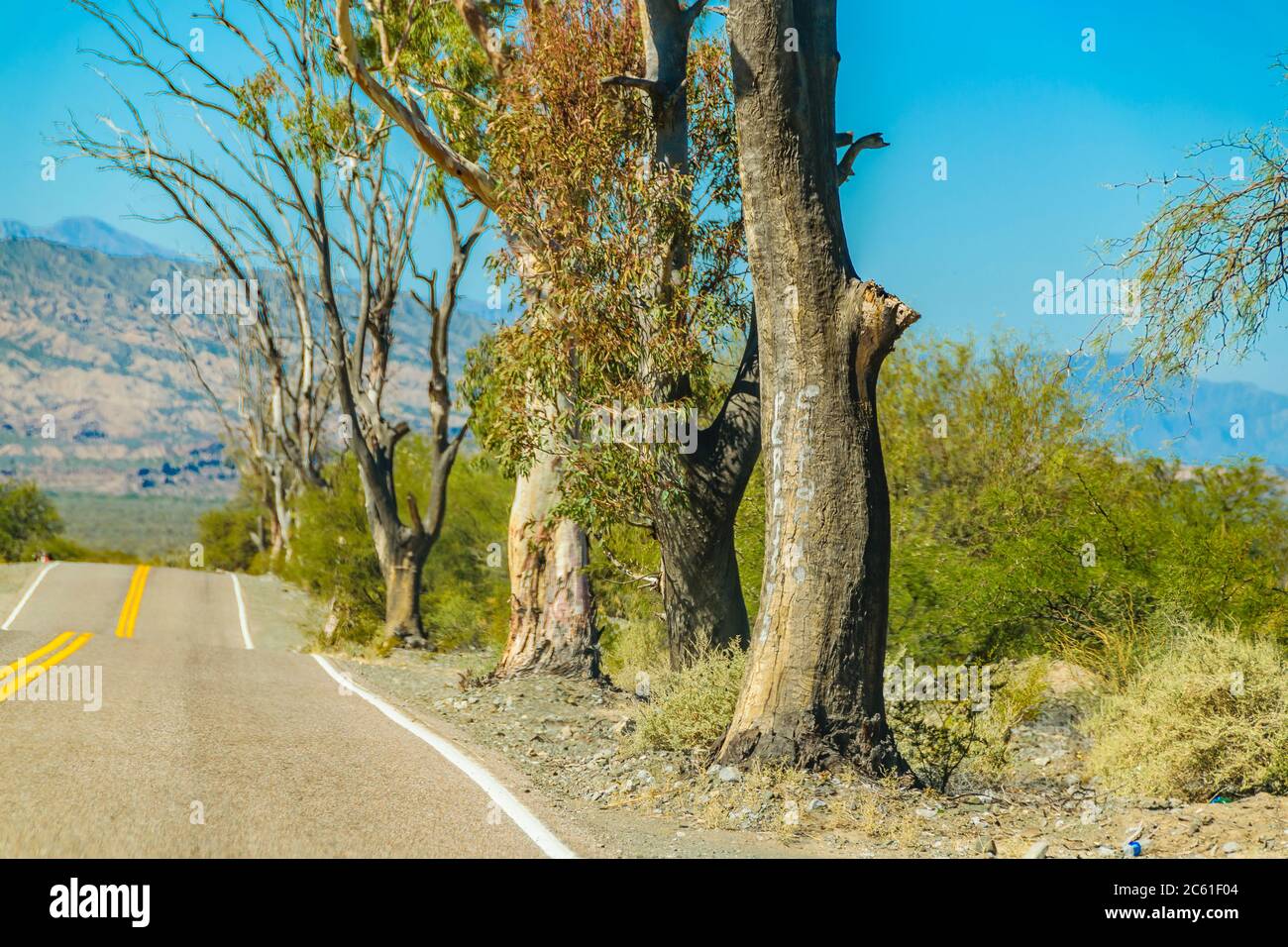 Leere Autobahn in trockener Landschaft Umwelt, san juan Provinz, argentinien Stockfoto
