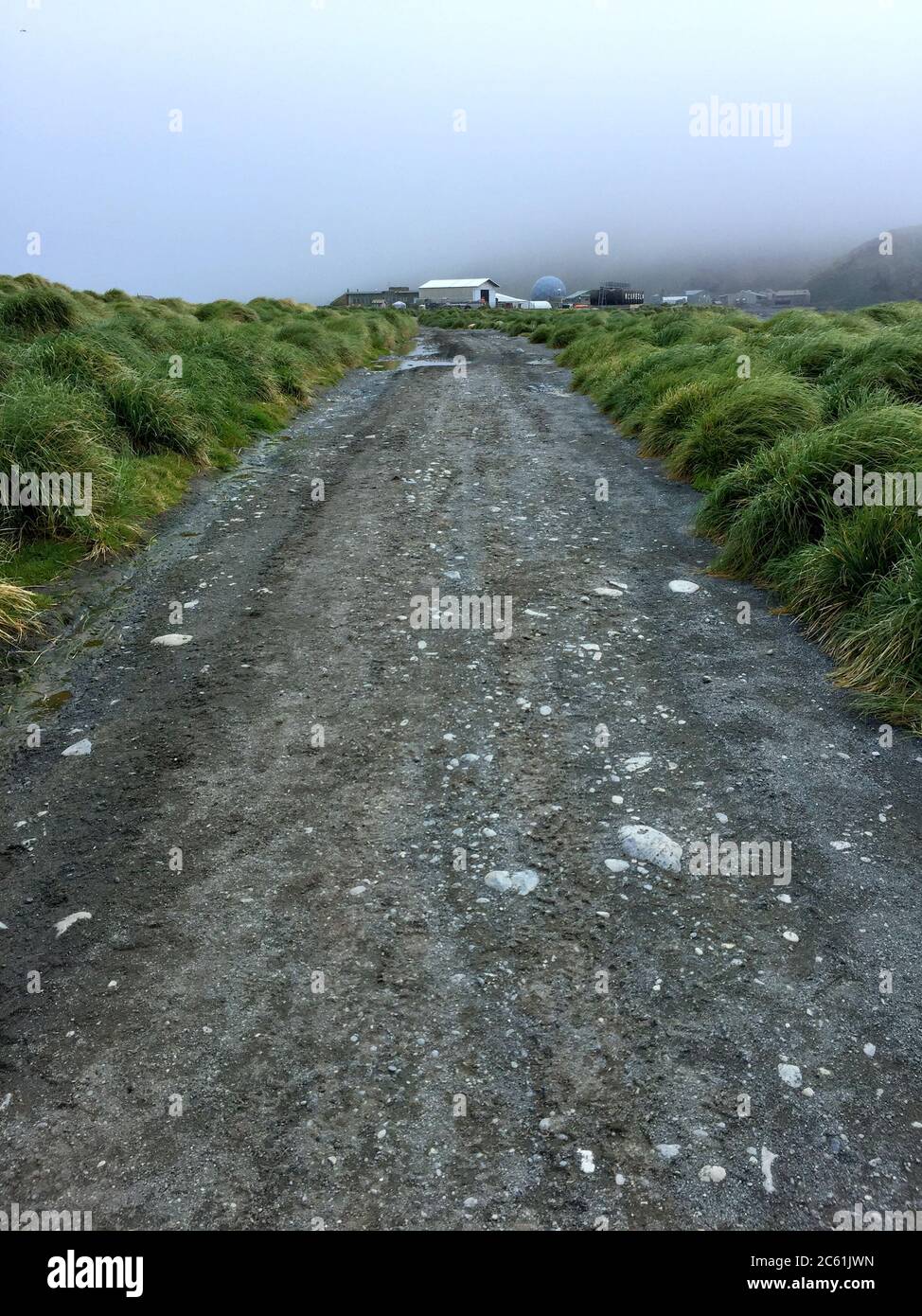 Straße auf Macquarie Island, subantarktische Region, Australien. Ein UNESCO-Weltkulturerbe im Südwesten des Pazifischen Ozeans. Stockfoto