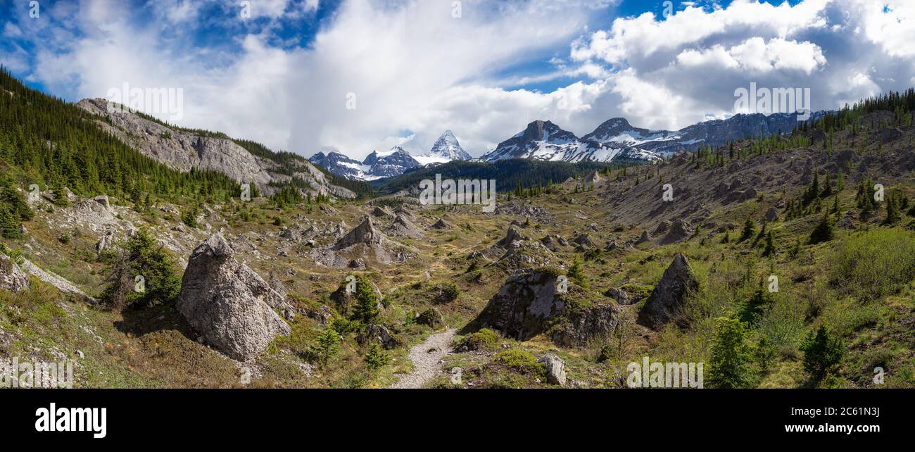 Wanderweg im berühmten Mt Assiniboine Provincial Park bei Banff Stockfoto