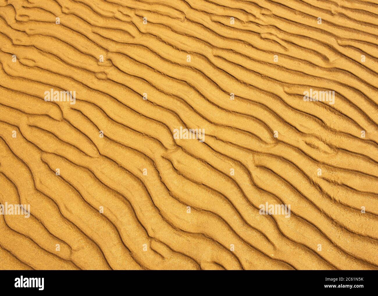 Camber Sands Strand Detail im Sommer Stockfoto