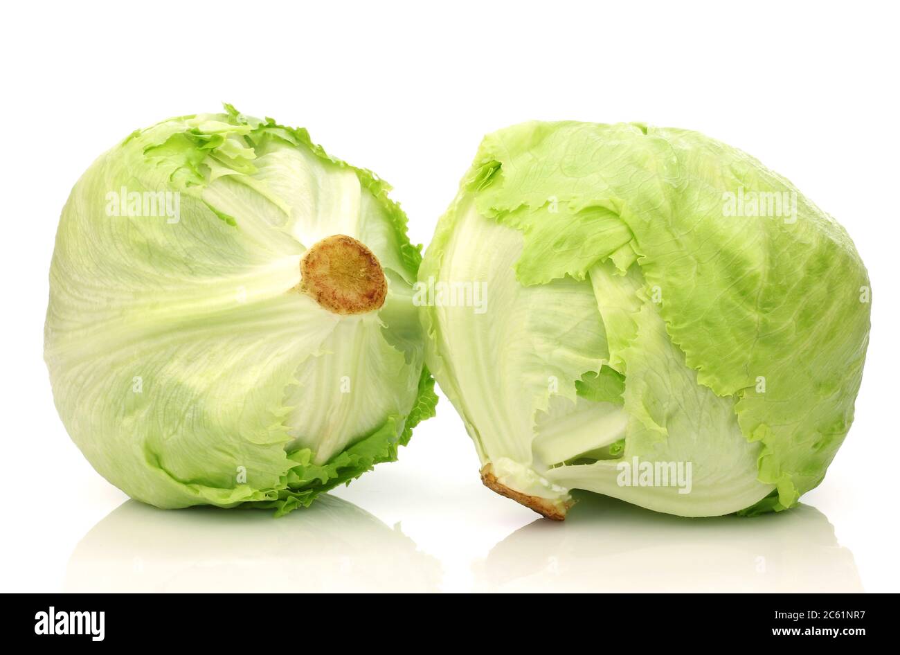 Frisch geernteter Salat auf weißem Hintergrund Stockfoto