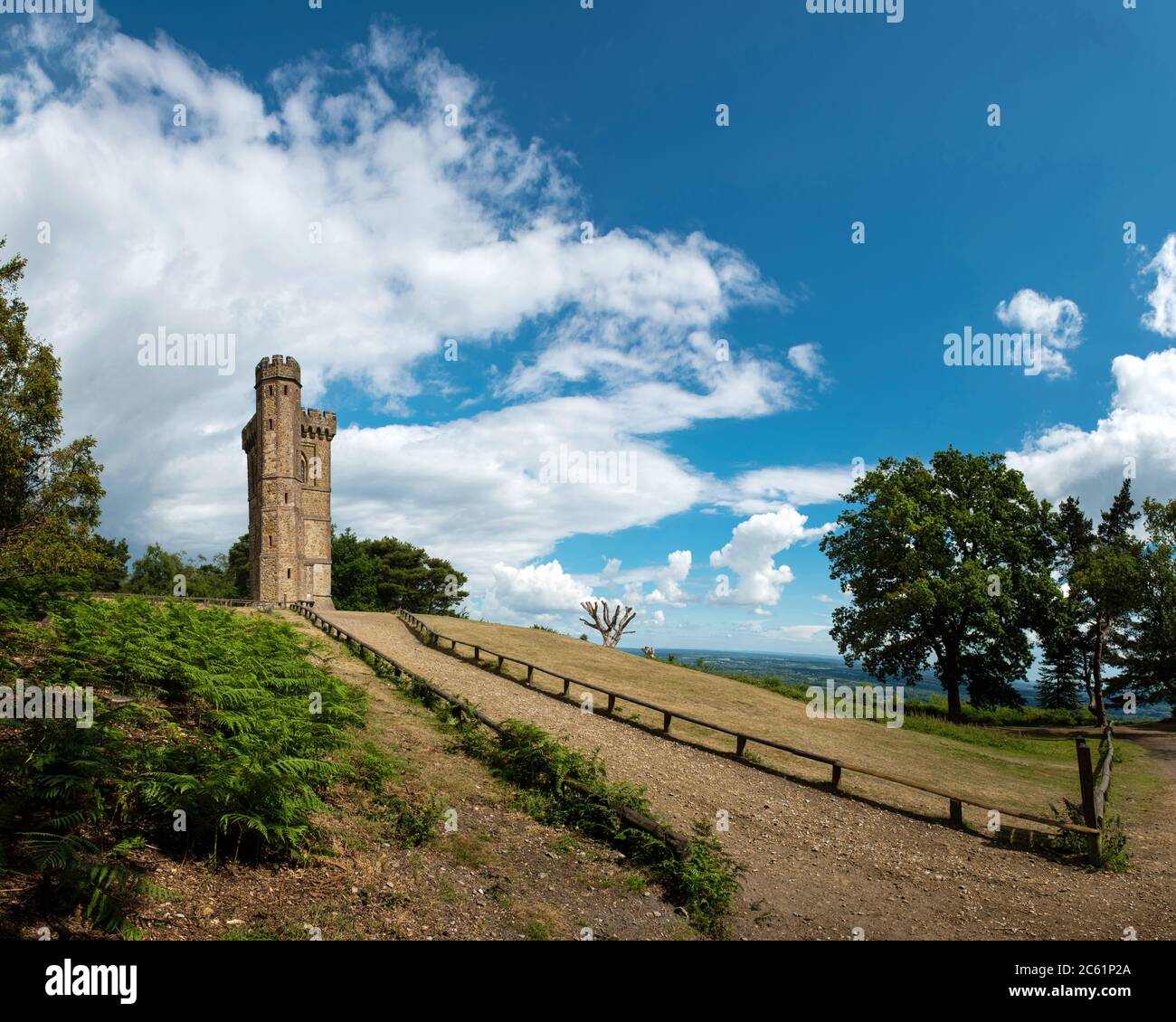 Landschaft mit einem Turm auf dem Leith Hill, England, Großbritannien Stockfoto