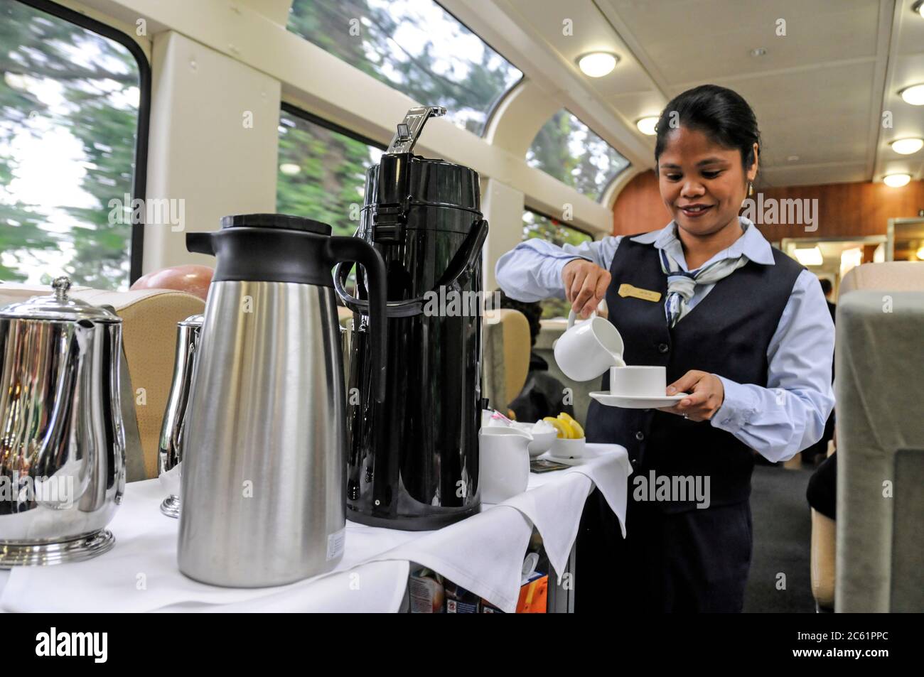 Ein Restaurantwächter, der Kaffee und Tee an Bord des Rocky Mountaineer Zuges in British Columbia, Kanada, serviert Stockfoto