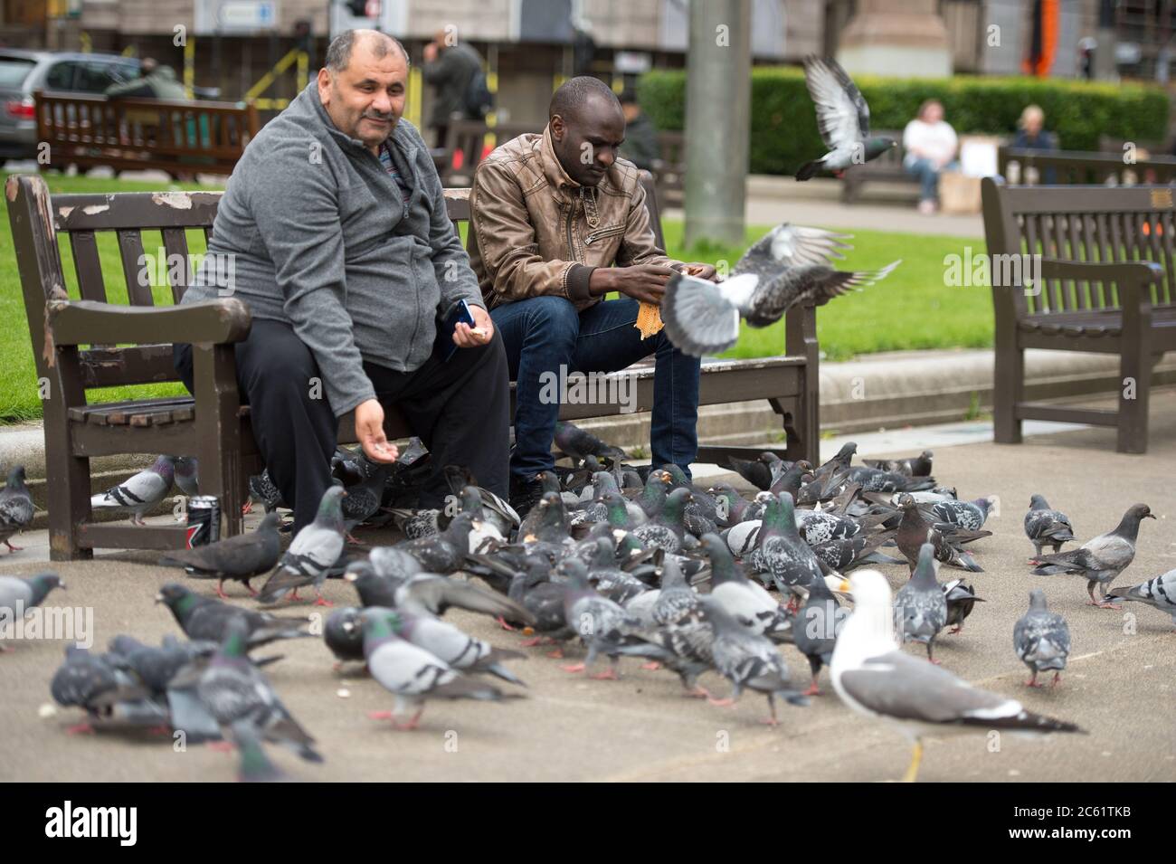 Glasgow, Schottland, Großbritannien. Juli 2020. Im Bild: Leute, die die Massen von Tauben auf dem George Square füttern. Menschen auf dem George Square. Bars und Restaurants werden in Glasgow wieder eröffnet, da die Sperrungen leichter werden. Von heute an begrüßen Pubs, Bars, Cafés und Restaurants in England, Schottland und Nordirland zum ersten Mal seit Beginn der Sperre im März Kunden. Quelle: Colin Fisher/Alamy Live News Stockfoto