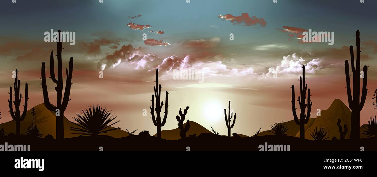 Sonnenuntergang in der mexikanischen Wüste. Sonne und Wolken. Silhouetten von Steinen, Kakteen und Pflanzen. Abendlandschaft mit Kakteen. Steinige Wüste. Stockfoto