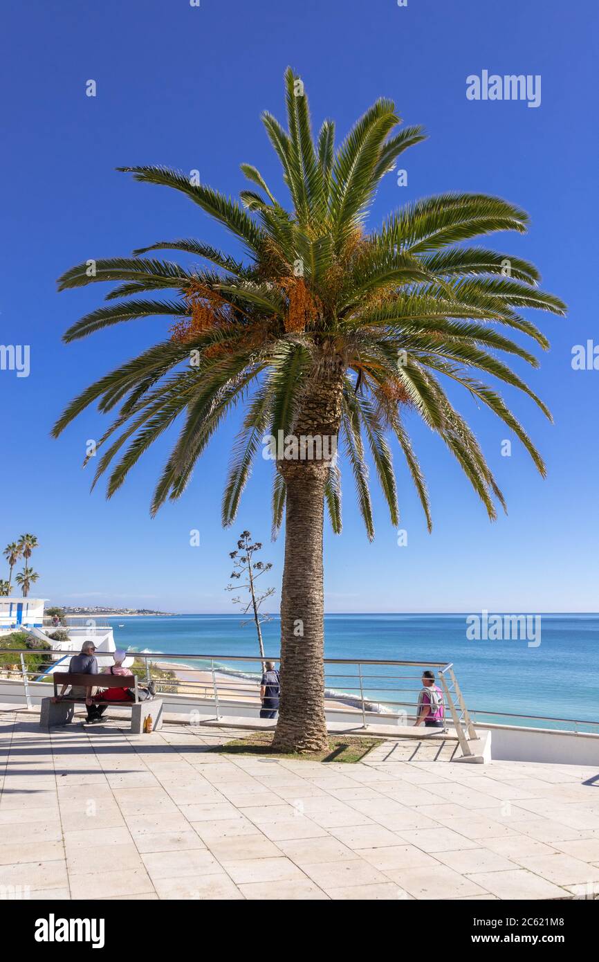 Palmen und Touristen in Armacao de Pera an der Küste der Algarve Portugal Stockfoto