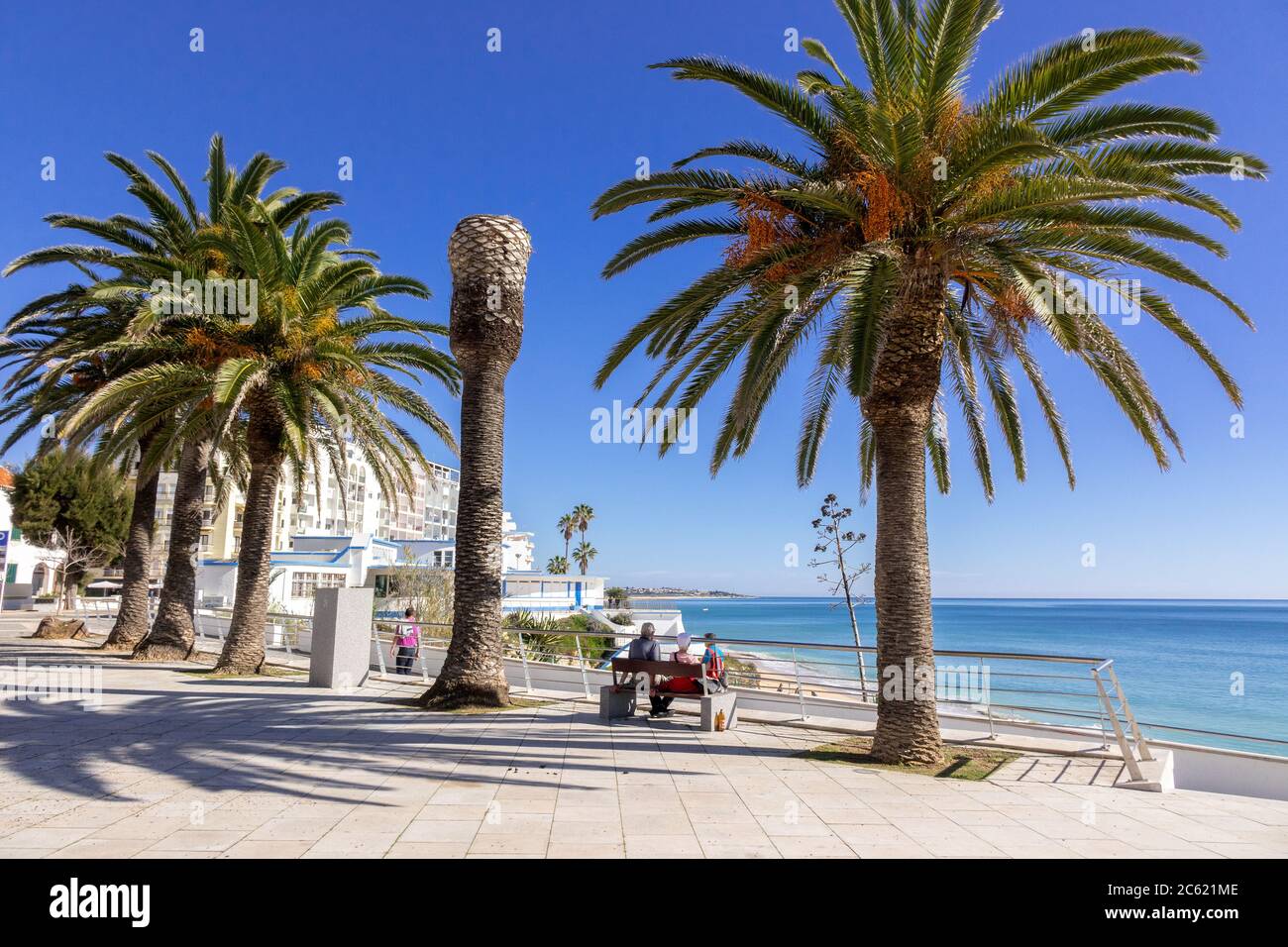 Palmen Touristen sitzen auf EINER Bank mit Blick auf das Meer in Armacao de Pera an der Meeresfront der Algarve Portugal Stockfoto