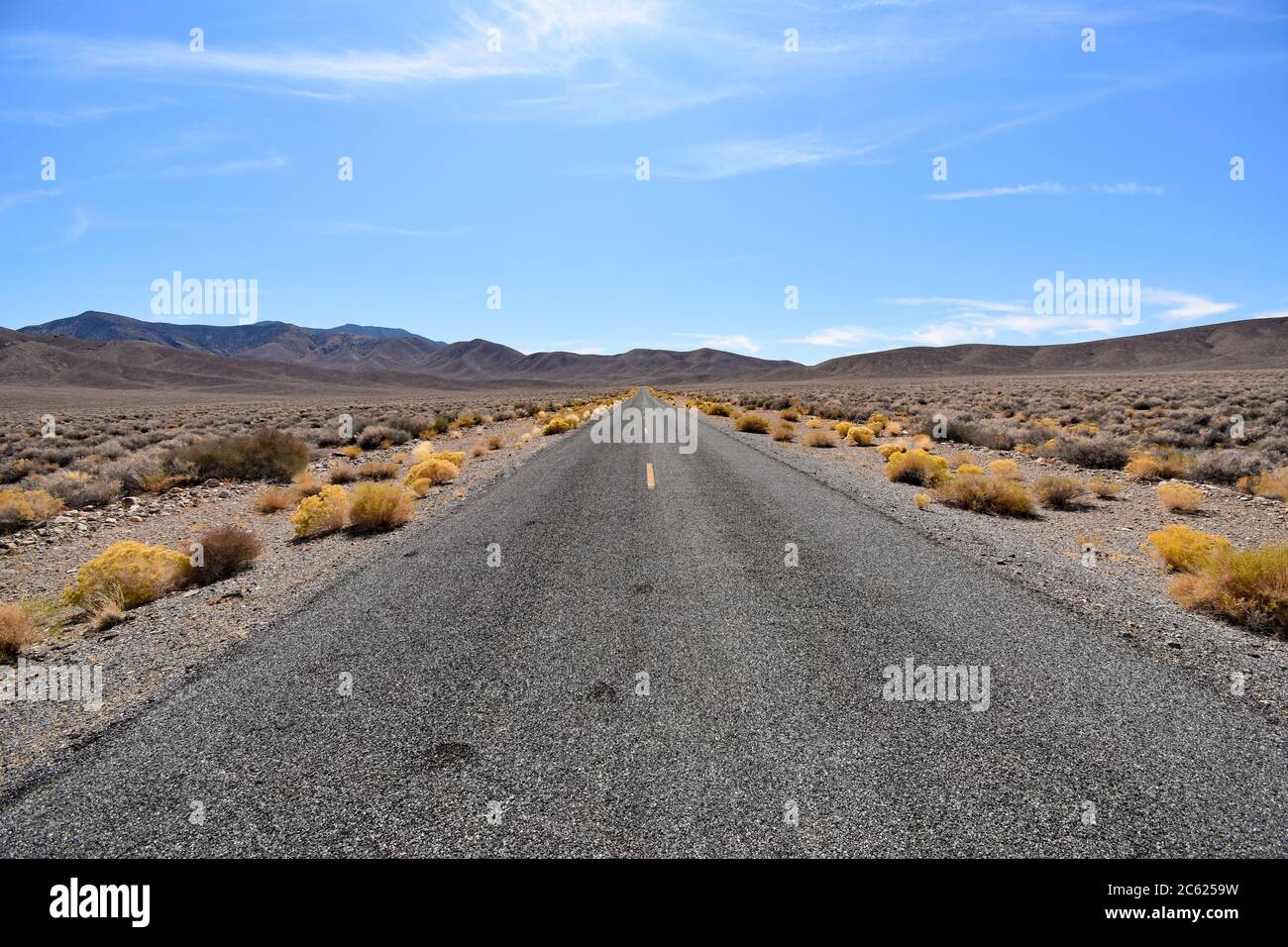 Gelbe Büsche säumen die Autobahn mit gelben Linien in der Mitte. Braune Berge und blauer Himmel. Emigrant Canyon Road Death Valley, Kalifornien Stockfoto