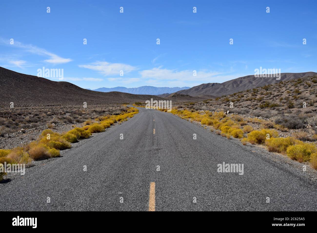 Gelbe Büsche säumen die Autobahn. Braune Wüstenberge, blauer Himmel und Sonnenschein. Landschaftlich reizvolle Fahrt, USA Road Trip entlang Emigrant Canyon Road, Death Valley. Stockfoto