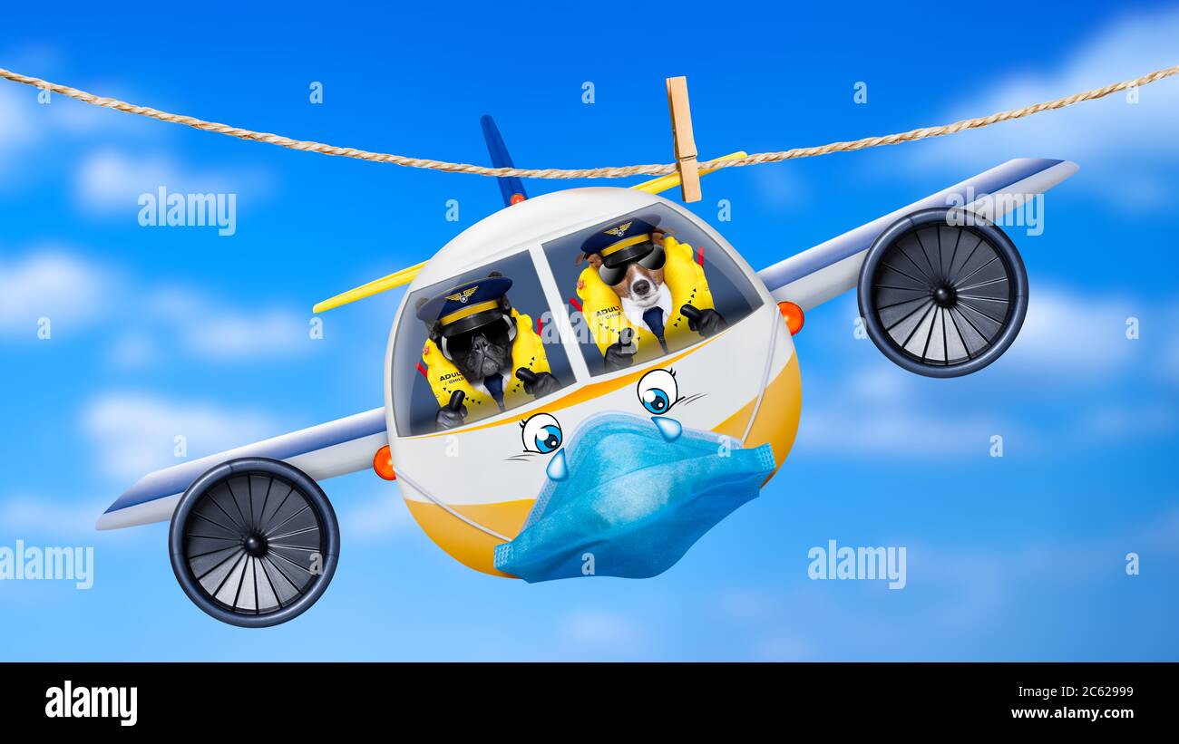 Pilot und Kopilot Hunde im Cockpit Kabine fliegen, landen oder abfliegen für einen Sommer Urlaub mit lustigen Flugzeug Stockfoto