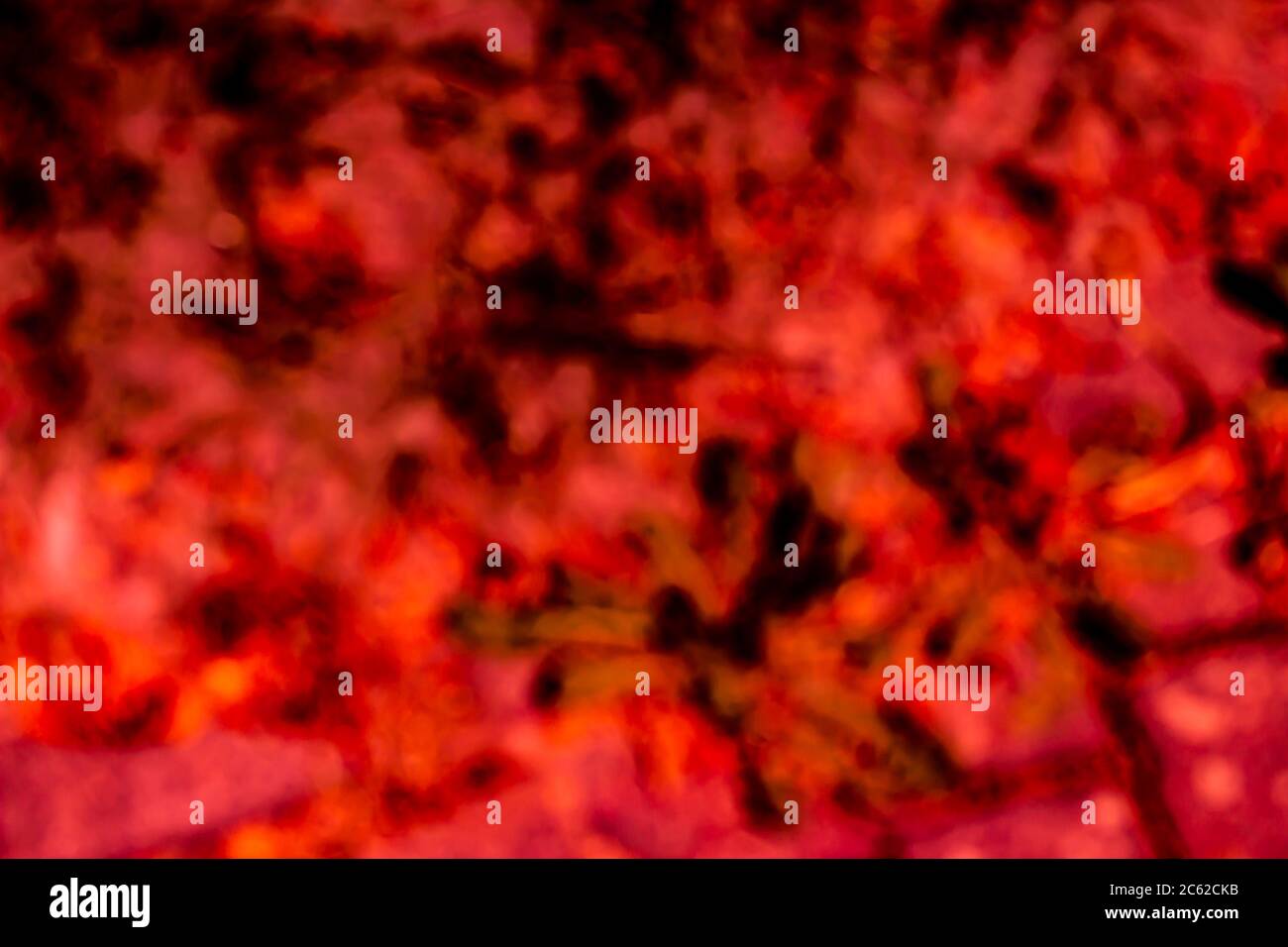 Rote und orange unscharfe Hintergrundstruktur Stockfoto