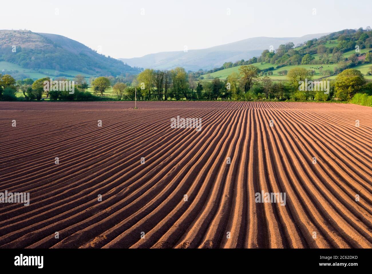 Pflowed Field, Wales, Großbritannien Stockfoto
