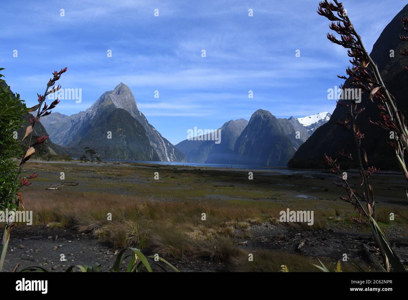 Der Milford Sound auf der Südinsel Neuseelands ist ein von Gletschern geschnitzter Fjord mit mehreren atemberaubenden Landschaften, die in Herr der Ringe verwendet werden. Stockfoto