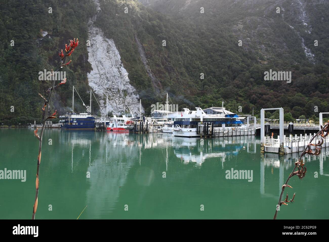 Der Milford Sound auf der Südinsel Neuseelands ist ein von Gletschern geschnitzter Fjord mit mehreren atemberaubenden Landschaften, die in Herr der Ringe verwendet werden. Stockfoto