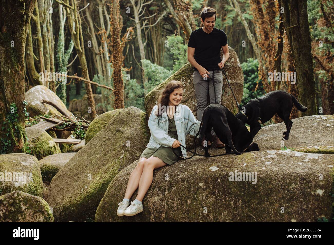 Junges Paar mit zwei Hunden Spaß im Wald während Auf Felsen sitzend Stockfoto