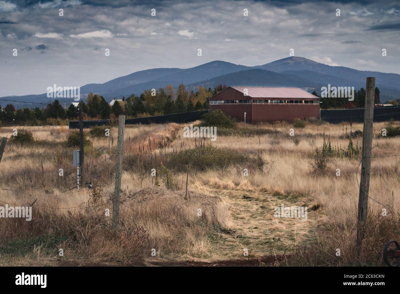 Landschaftlich schöne Herbstansicht des Feldes und der Berge in der Nähe von Spokane, Washington Stockfoto