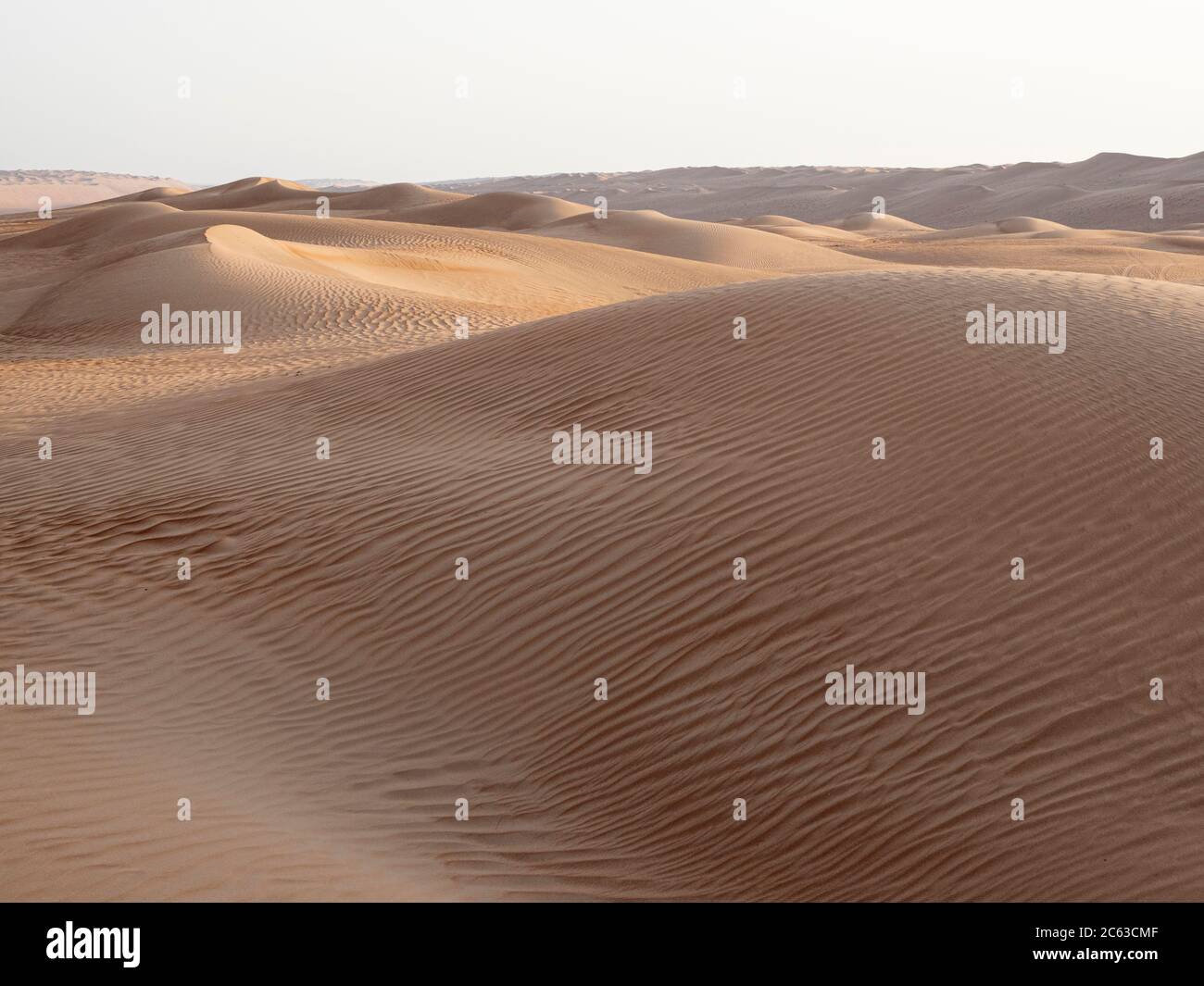 Sanddünen in der Ramlat Al Wahiba Wüste, lokal bekannt als das leere Viertel, Sultanat von Oman. Stockfoto
