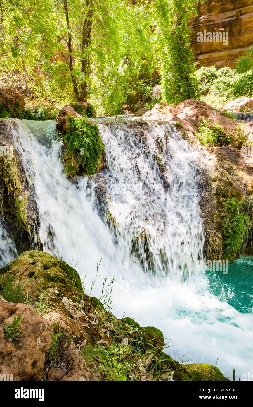 Unterhalb der Mooney Falls auf Havasu Creek gibt es viele Pools und Wasserfälle, die von üppiger grüner Vegetation umgeben sind. Auf Havasupai Indian Tribe Land, AZ. Stockfoto