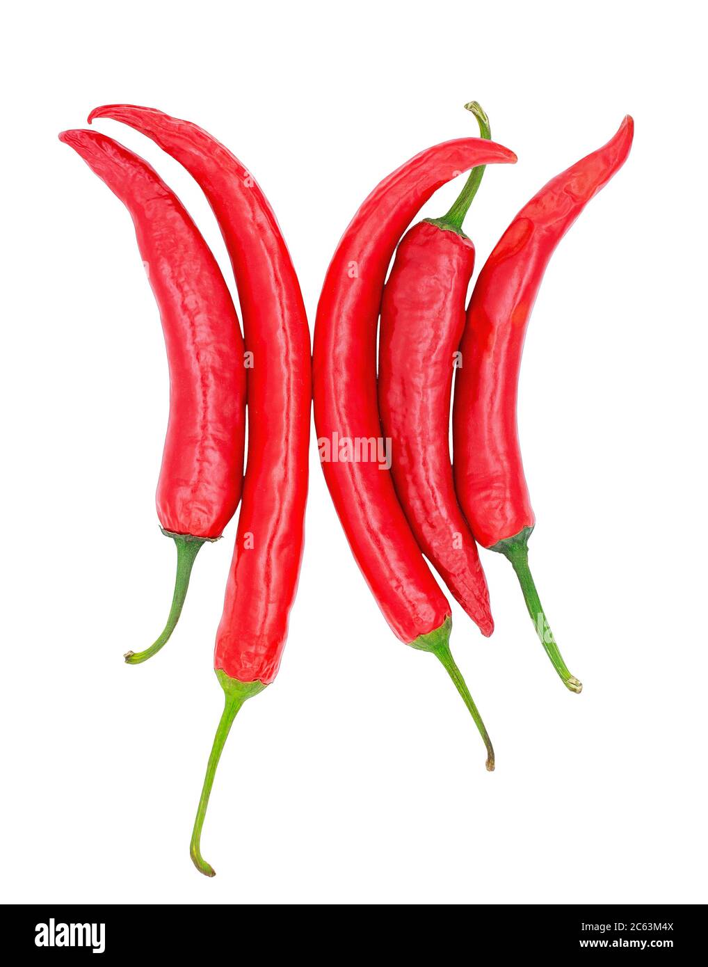 Rote Chili, ein paar Paprika auf weißem Hintergrund isoliert. Stockfoto