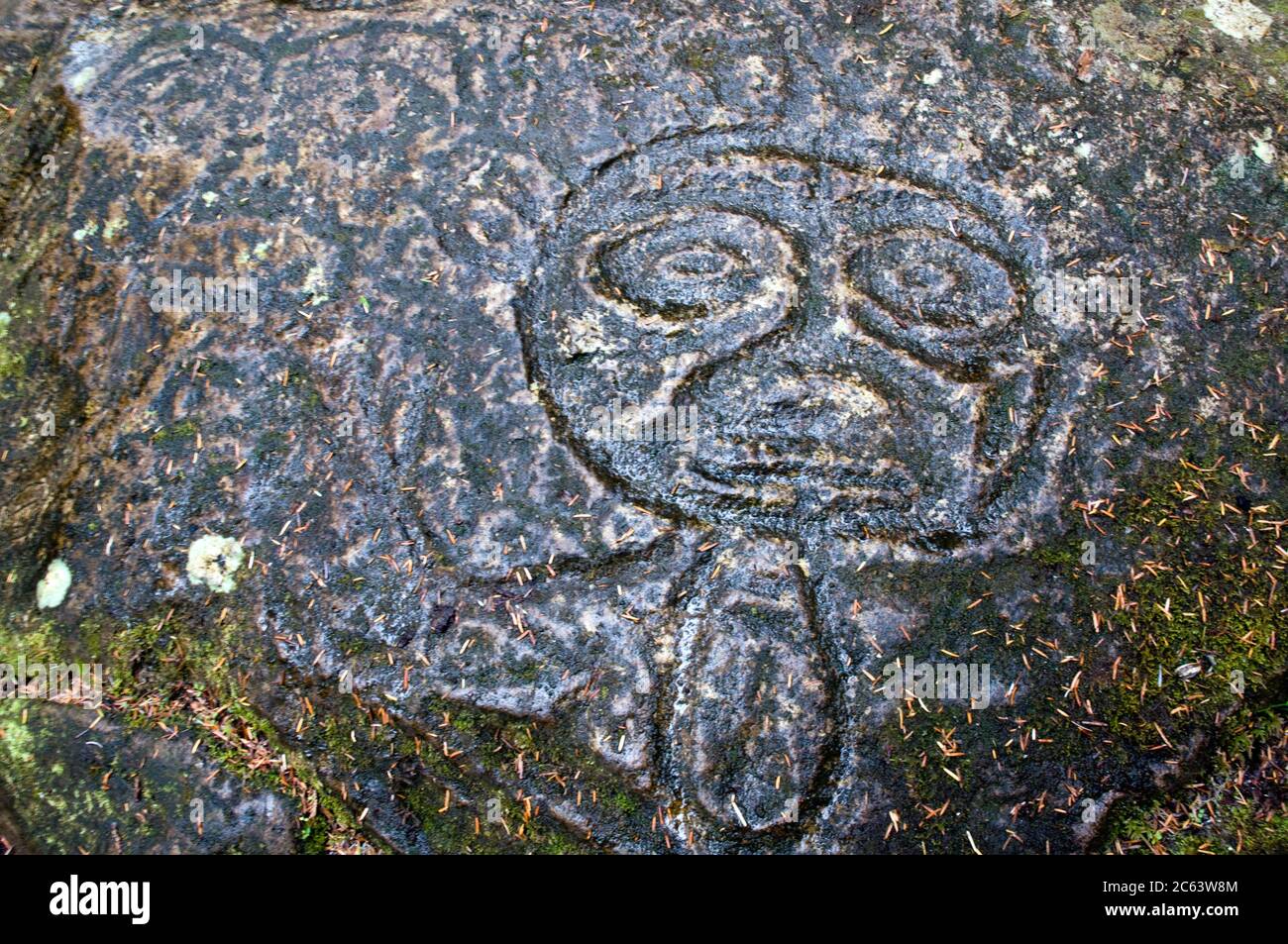 Uralte prähistorische Petroglyphe, die von indigenen Ureinwohnern in der Region des Great Bear Rainforest, Bella Coola, British Columbia, Kanada, geschnitzt wurde. Stockfoto