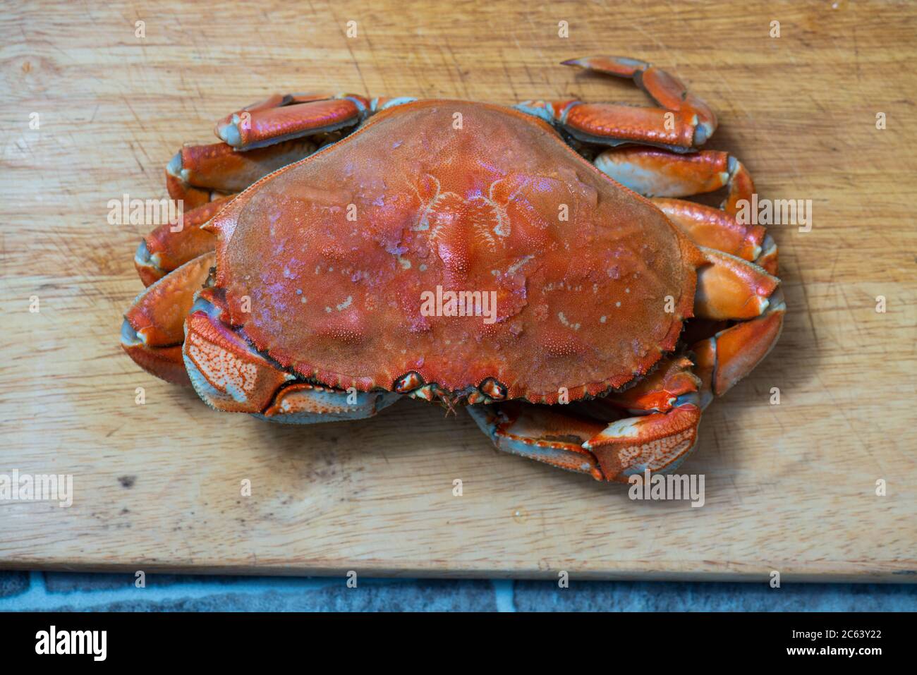 Dungeness Krabben auf einem Schneidebrett Stockfoto