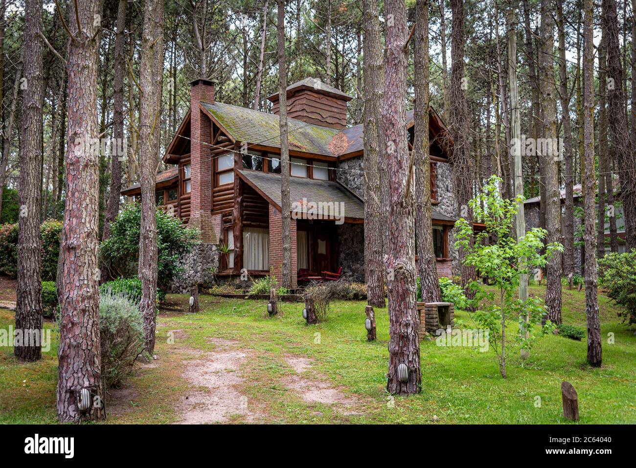 Friedliches Holzhaus im Wald, tief umgeben von hohen Bäumen Stockfoto
