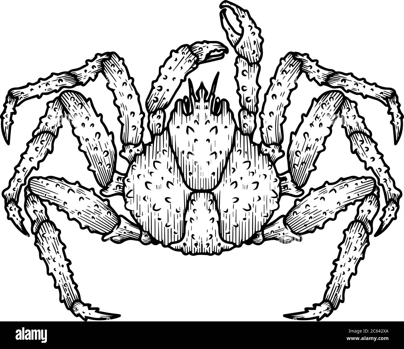 Illustration der japanischen Spinnenkrabbe. Gestaltungselement für Logo, Etikett, Schild, Emblem, Plakat. Vektorgrafik Stock Vektor