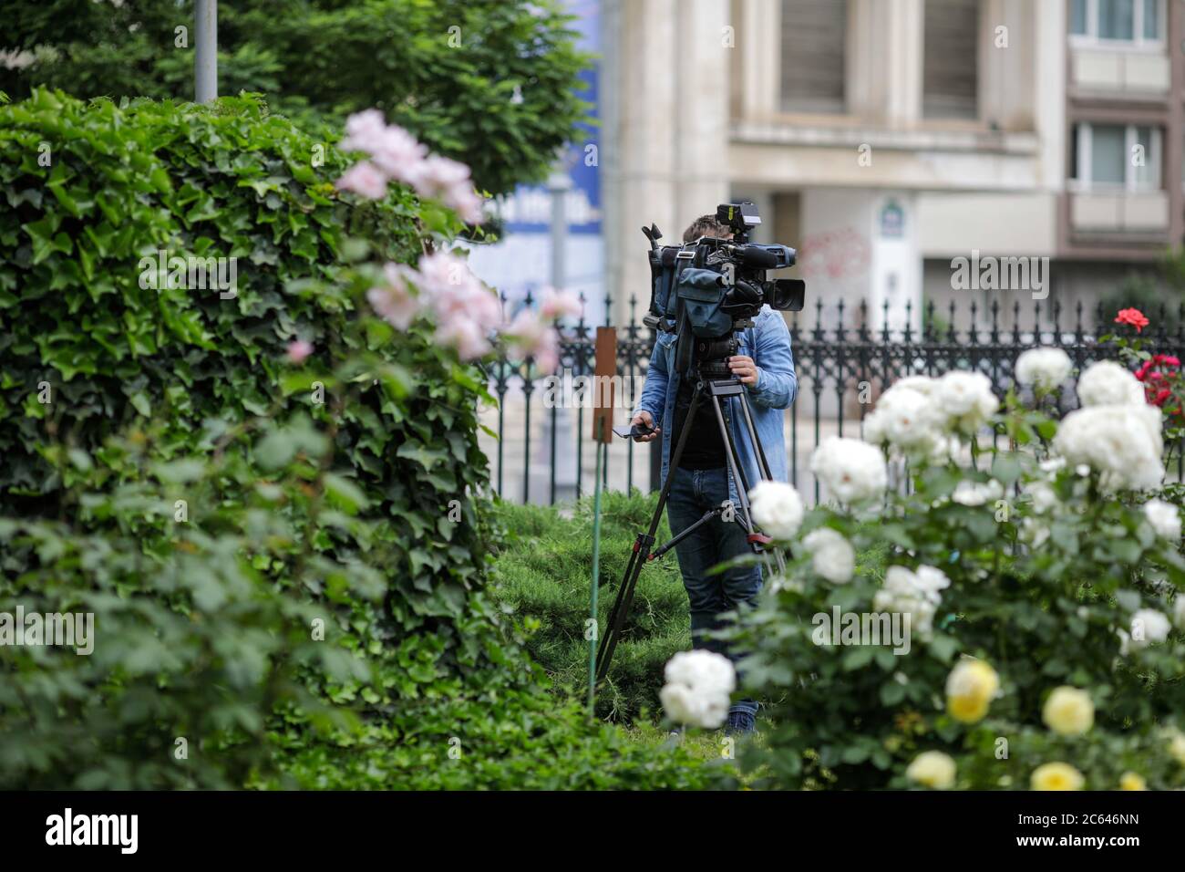 Fernsehkamerabetreiber filmt in einem Garten voller Blumen. Stockfoto