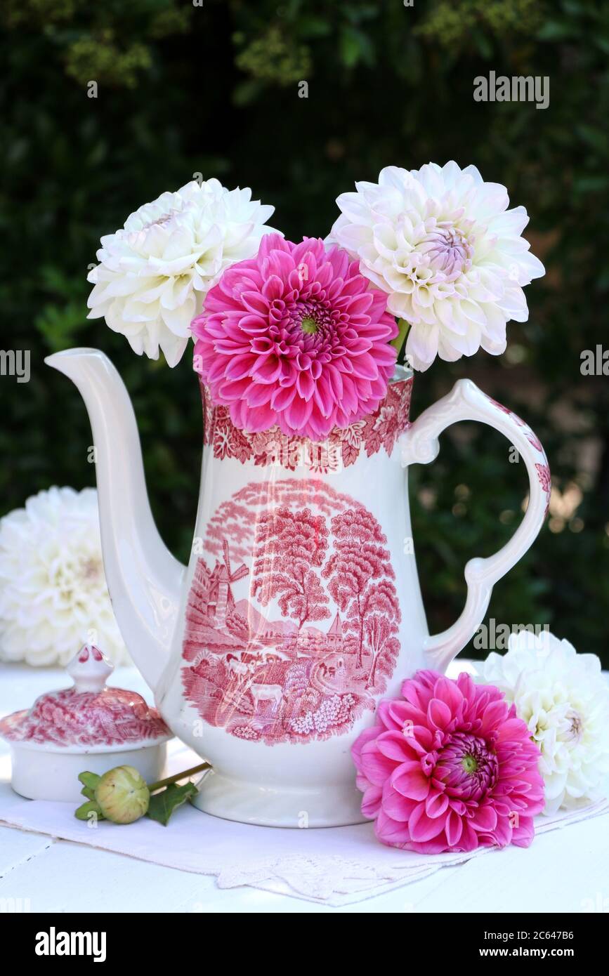 Bouquet von rosa Dahlia Blumen in Vintage-Kaffee kann Stockfoto