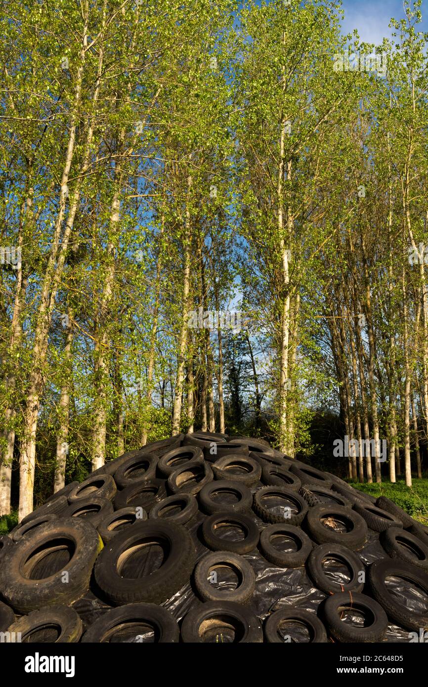 Alte Reifen in der Natur, Frankreich Stockfoto