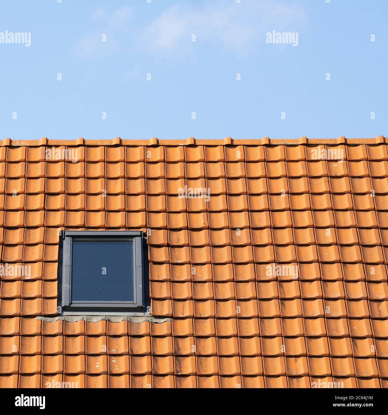Dachziegel auf der Hausdecke, Nordrhein-Westfalen, Deutschland, Europa Stockfoto