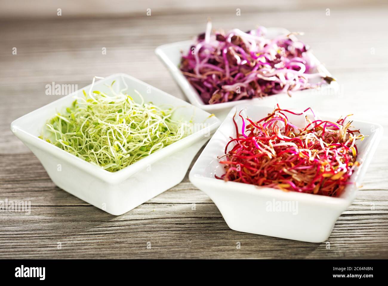 Rote Beete, Rettich und Luzerne sprießen in porzellabüllchen auf Holztisch Stockfoto