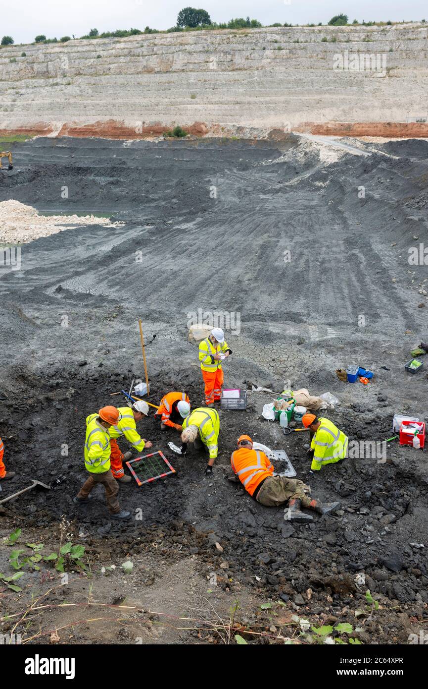 Eine Gruppe von Geologen und Archäologen graben im Middlegate Lane Quarry in South Ferriby North Lincolnshire nach Resten eines Pliosaurs. Stockfoto