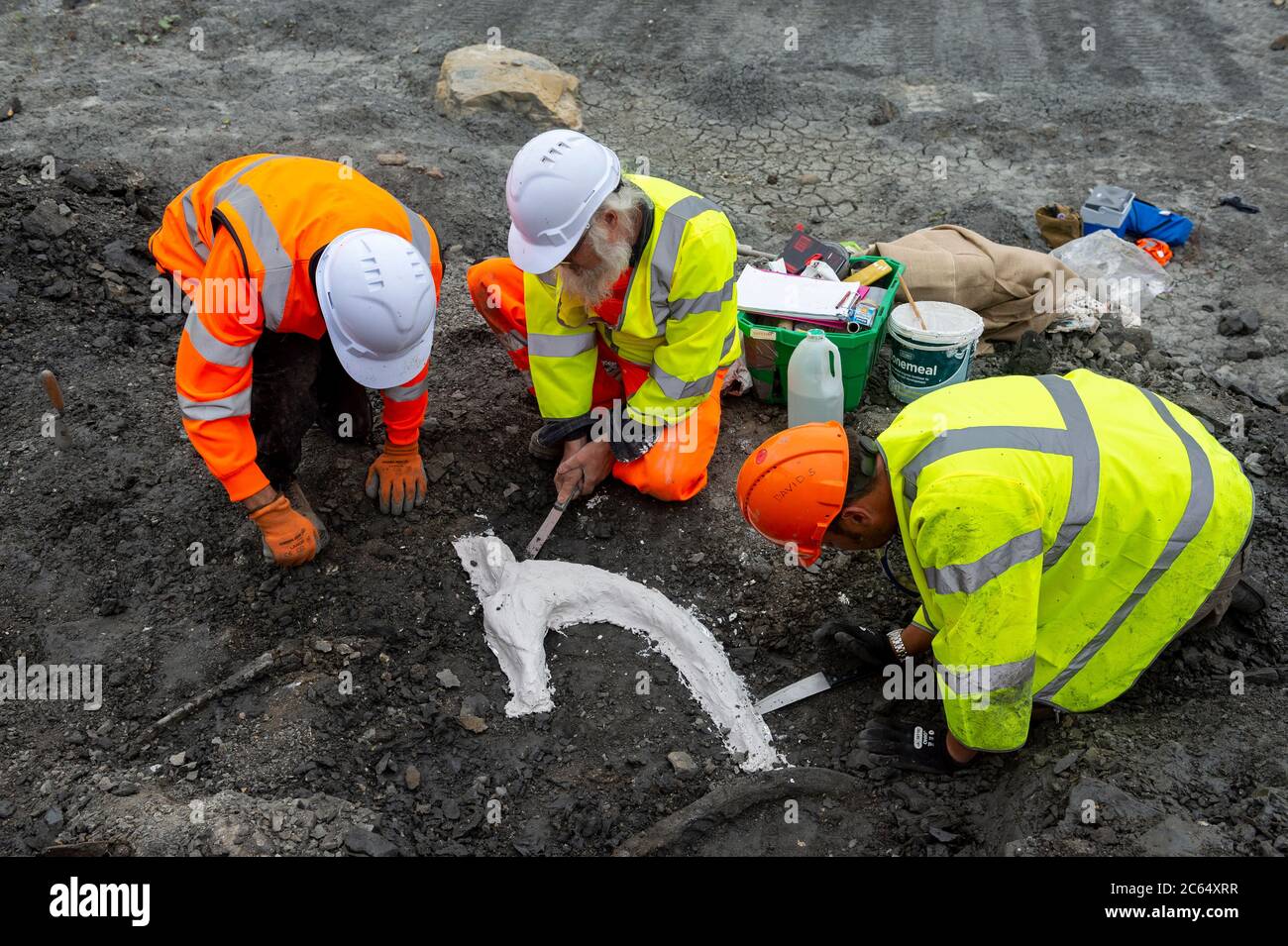 Eine Gruppe von Geologen und Archäologen graben im Middlegate Lane Quarry in South Ferriby North Lincolnshire nach Resten eines Pliosaurs. Stockfoto