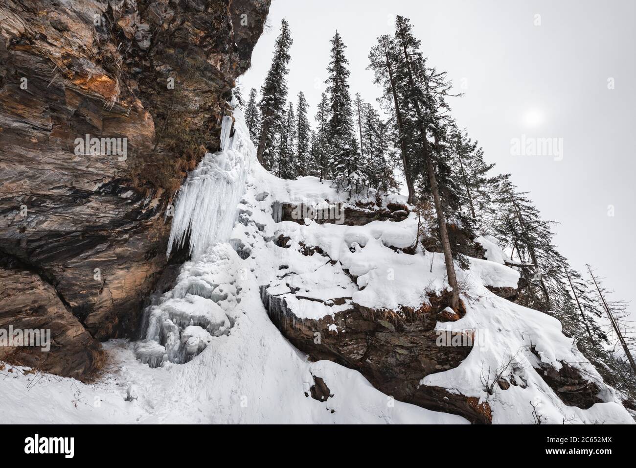 Schneefall im Winter von Manali in Himachal Pradesh, Indien Stockfoto