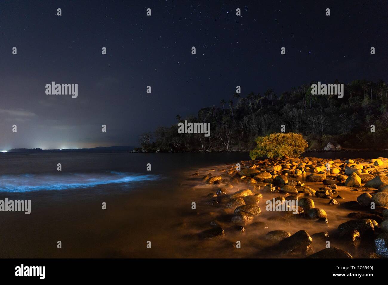 Phytoplanktons in Goa Indien bei Nacht Stockfoto