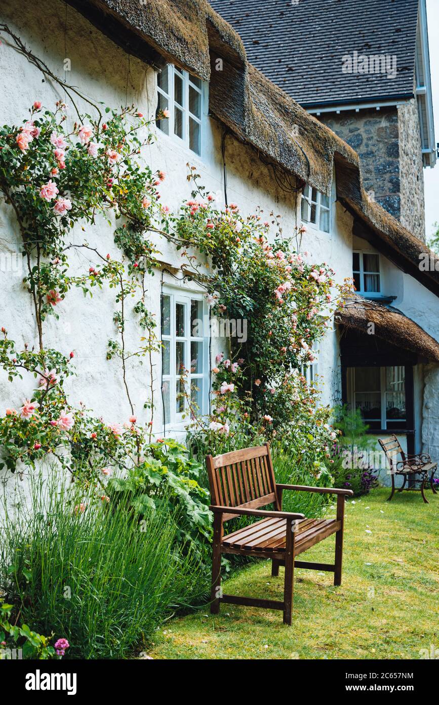 Ein traditioneller Hüttengarten in einem kleinen Dartmoor Dorf, Devon, England, Großbritannien Stockfoto