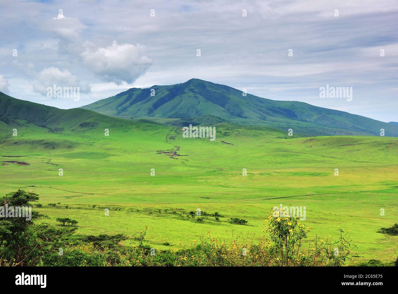 Die Grunen Hugel Von Afrika Stockfotos Und Bilder Kaufen Alamy