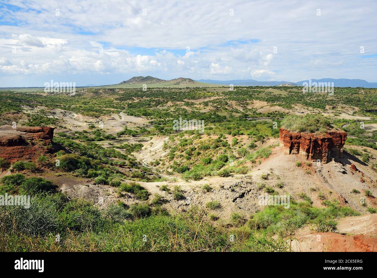 Blick auf die Schlucht Olduvai Schlucht eine der wichtigsten paläoanthropologischen Stätten der Welt - die Wiege der Menschheit. Great Rift Valley, Tansania Ea Stockfoto