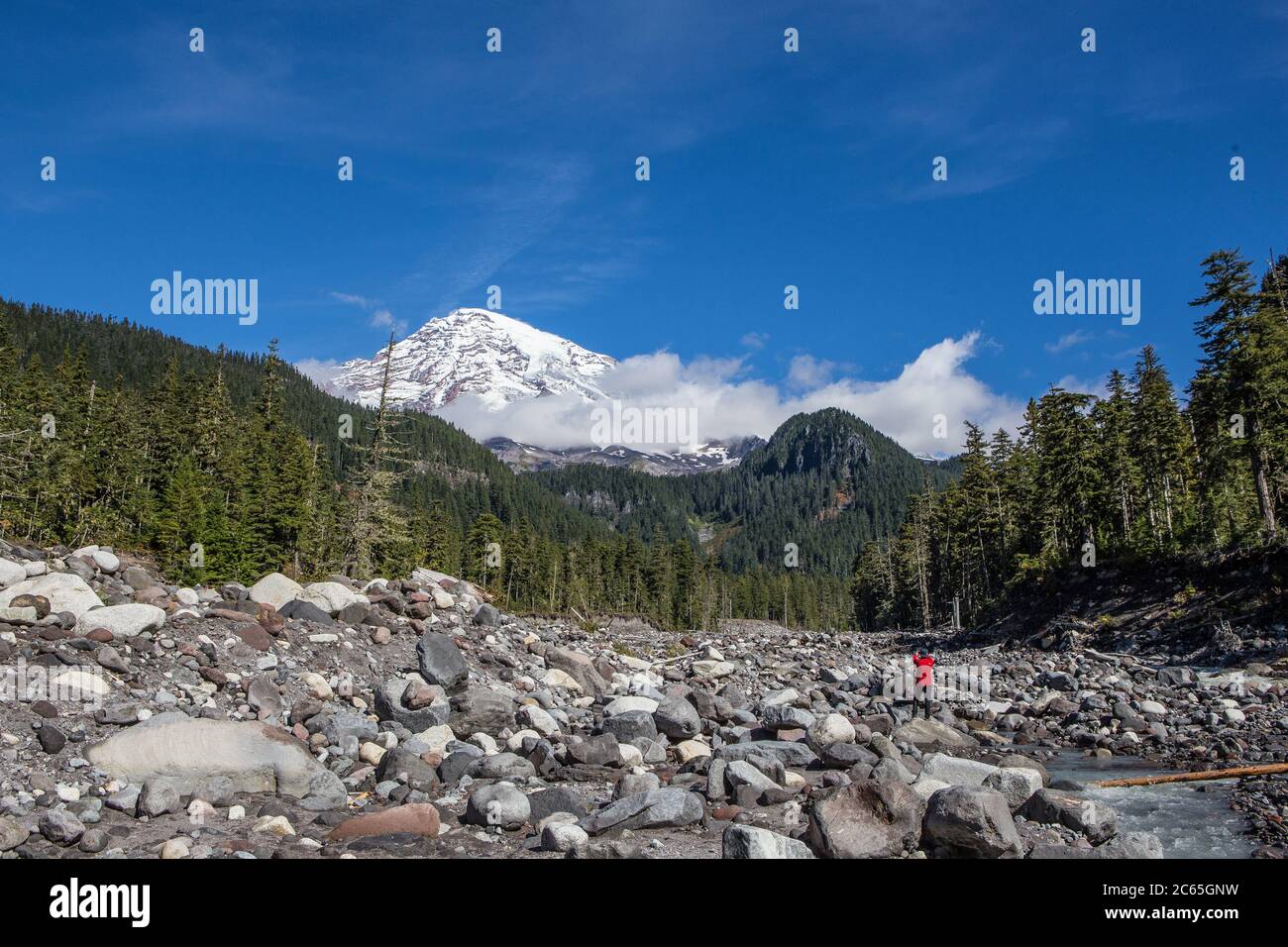 Mount Rainier mit Schneekappe an einem sonnigen Tag. Stockfoto