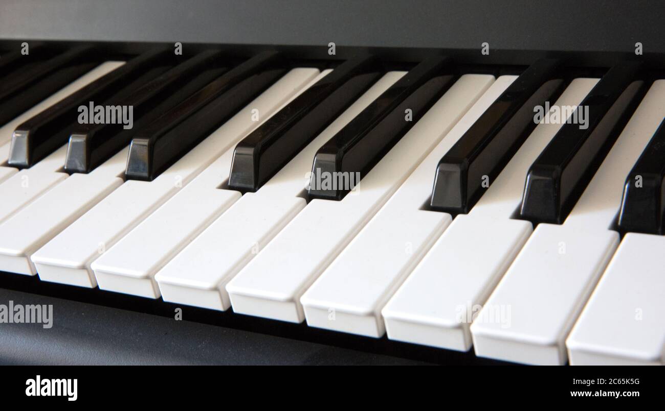 Schwarz-weiße Tasten Nahaufnahme, Klavier, Tastatur, Akkordeon Stockfoto