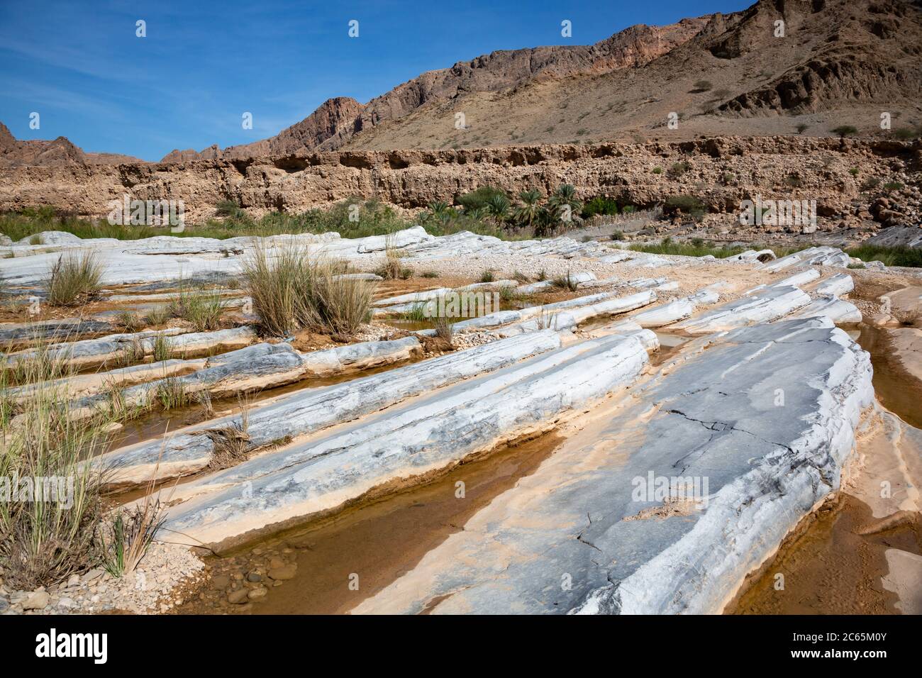 Schräge Kalksteinbänke vor der Bergkette im Wadi Arbiyeen in Oman Stockfoto